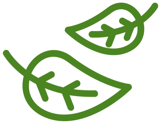 Naturals's logo