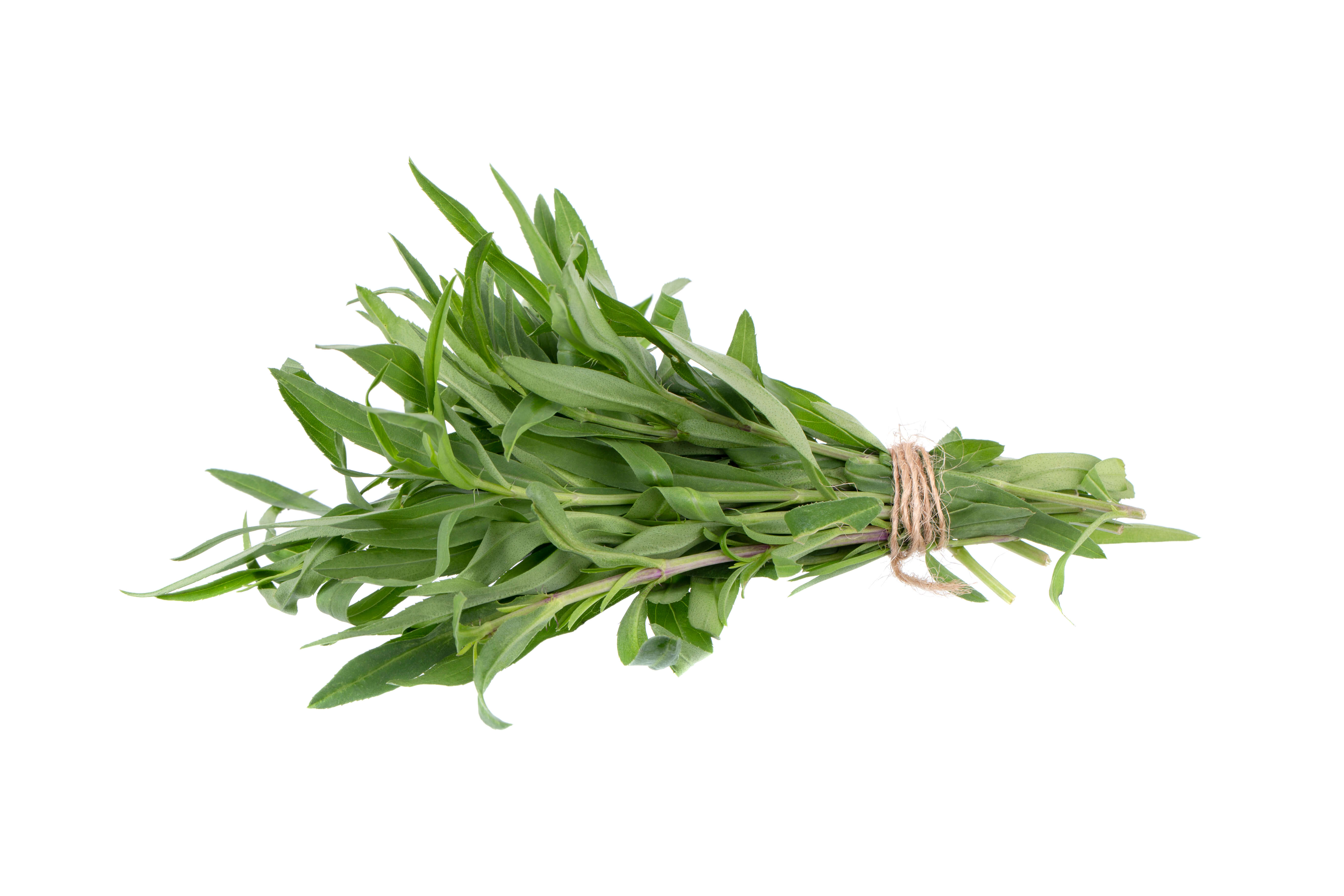 Tarragon oil (CAS N° 8016-88-4) Tarragon oil (CAS N° 8016-88-4)