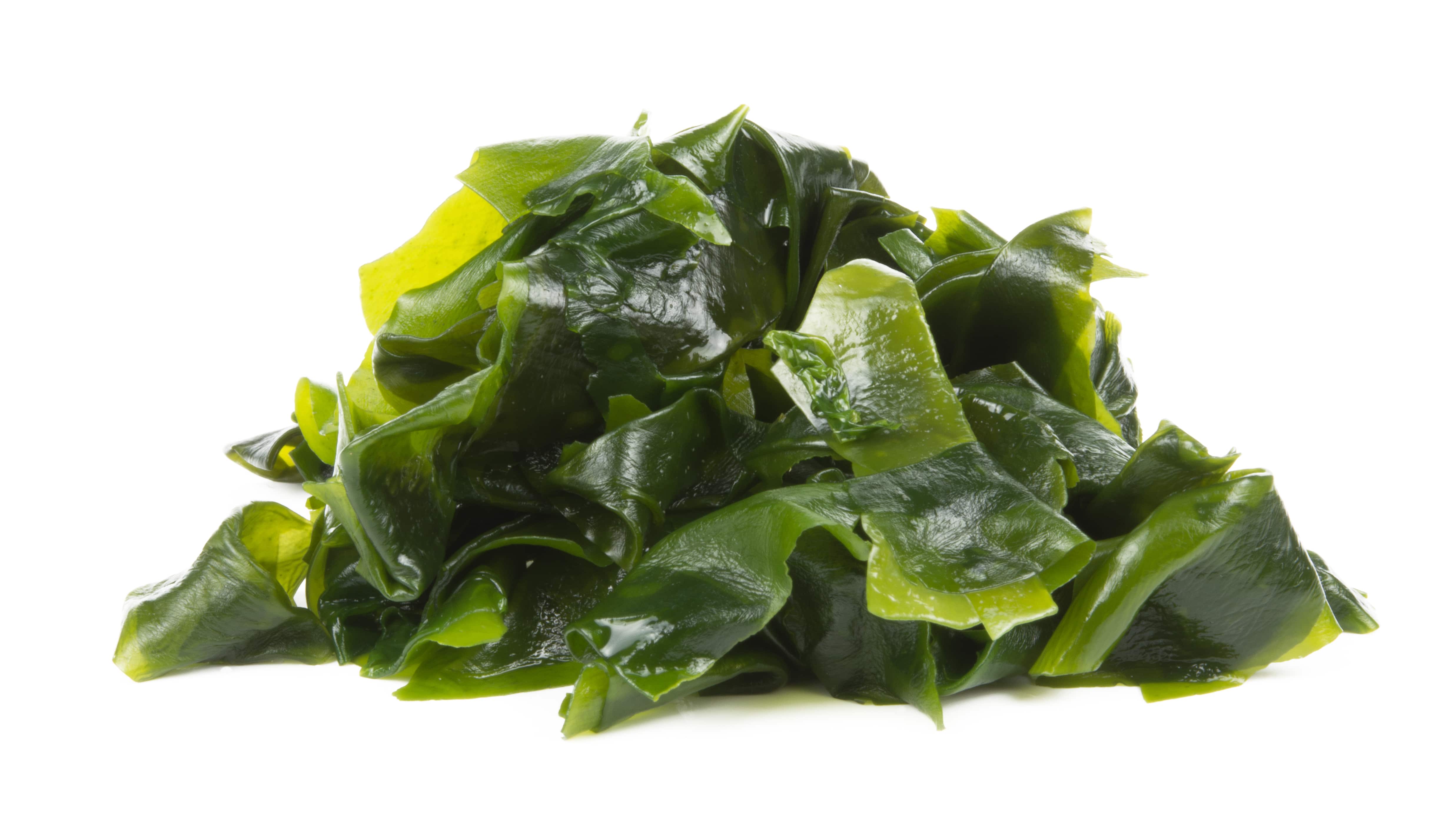 Laminaria Absolue (N° CAS 90046-12-1 // 1207666-16-7)