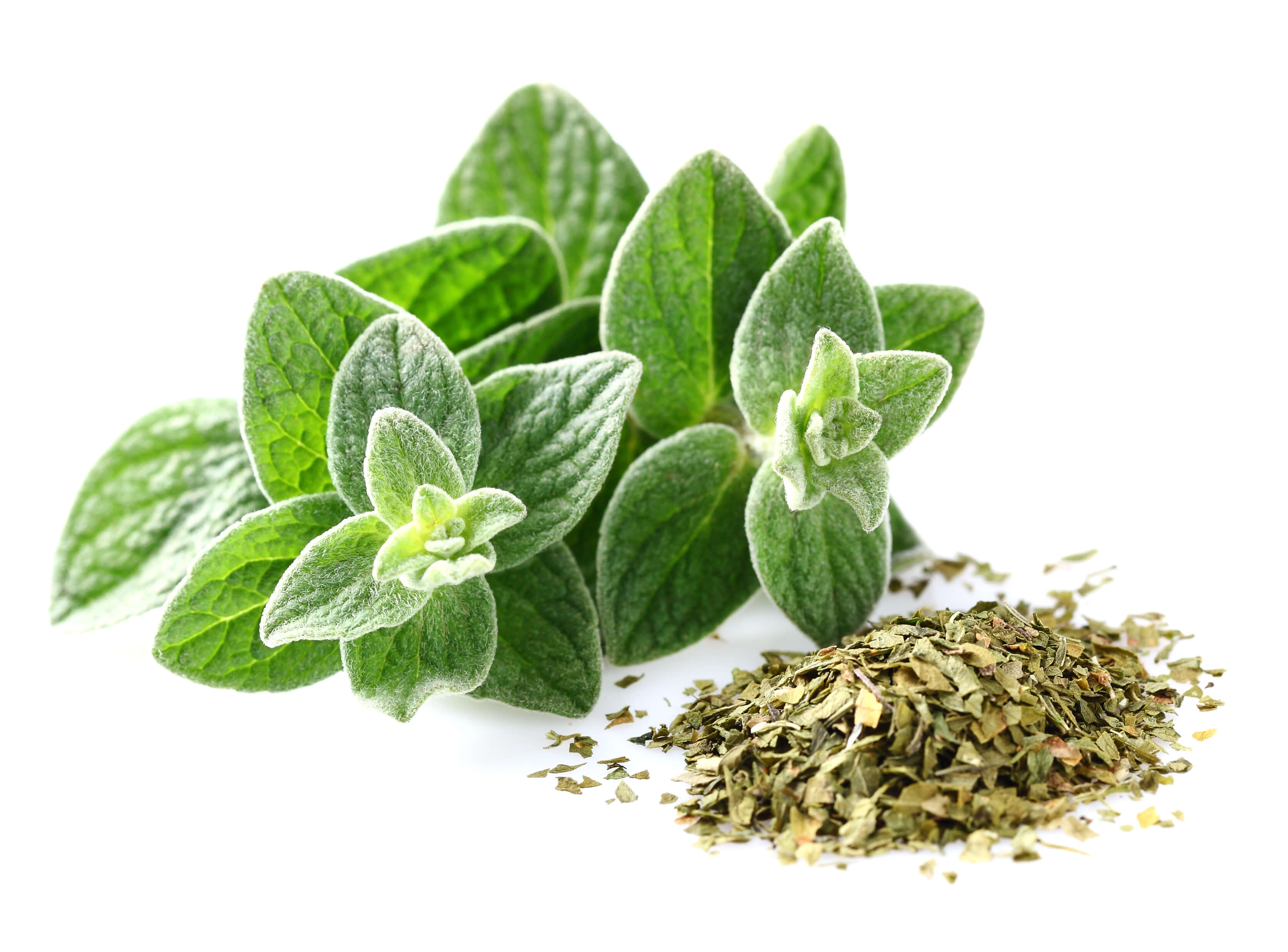 Origanum oil (CAS N° 8007-11-2) Origanum oil (CAS N° 8007-11-2)