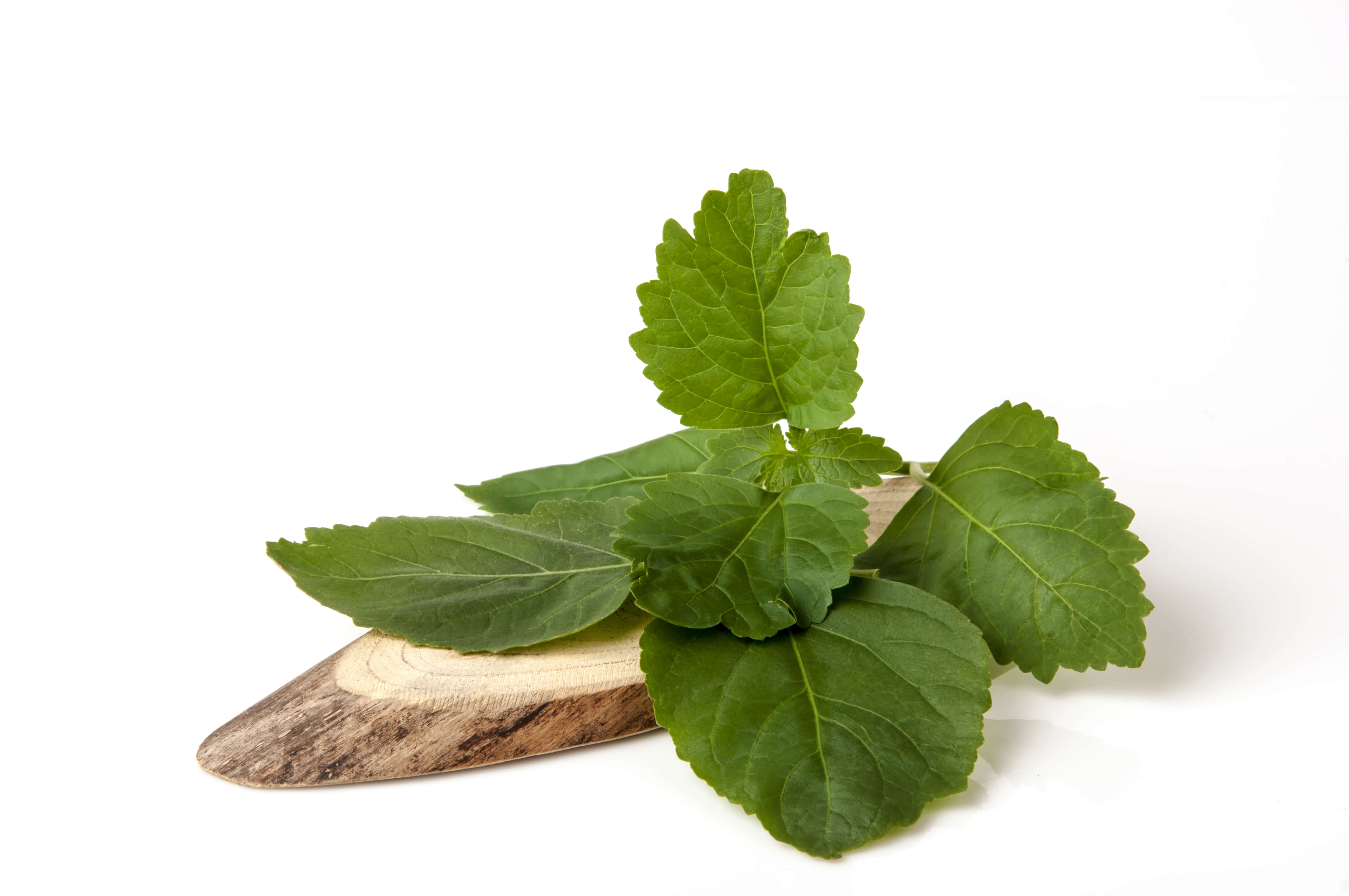 Patchouli oil (CAS N° 84238-39-1 // 8014-09-3) Patchouli oil (CAS N° 84238-39-1 // 8014-09-3)