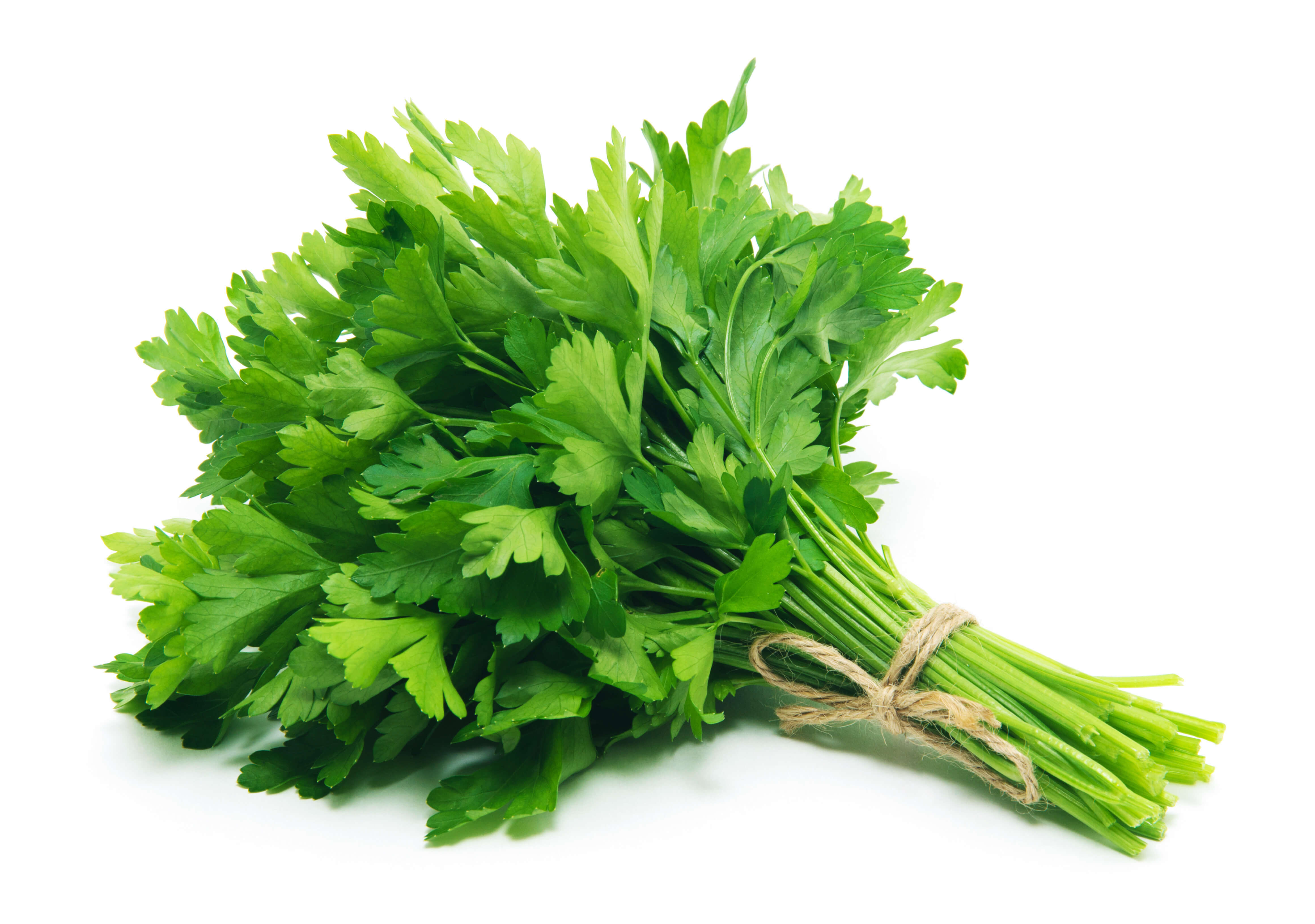 Parsley herb oil (CAS N° 8000-68-8) Parsley herb oil (CAS N° 8000-68-8)