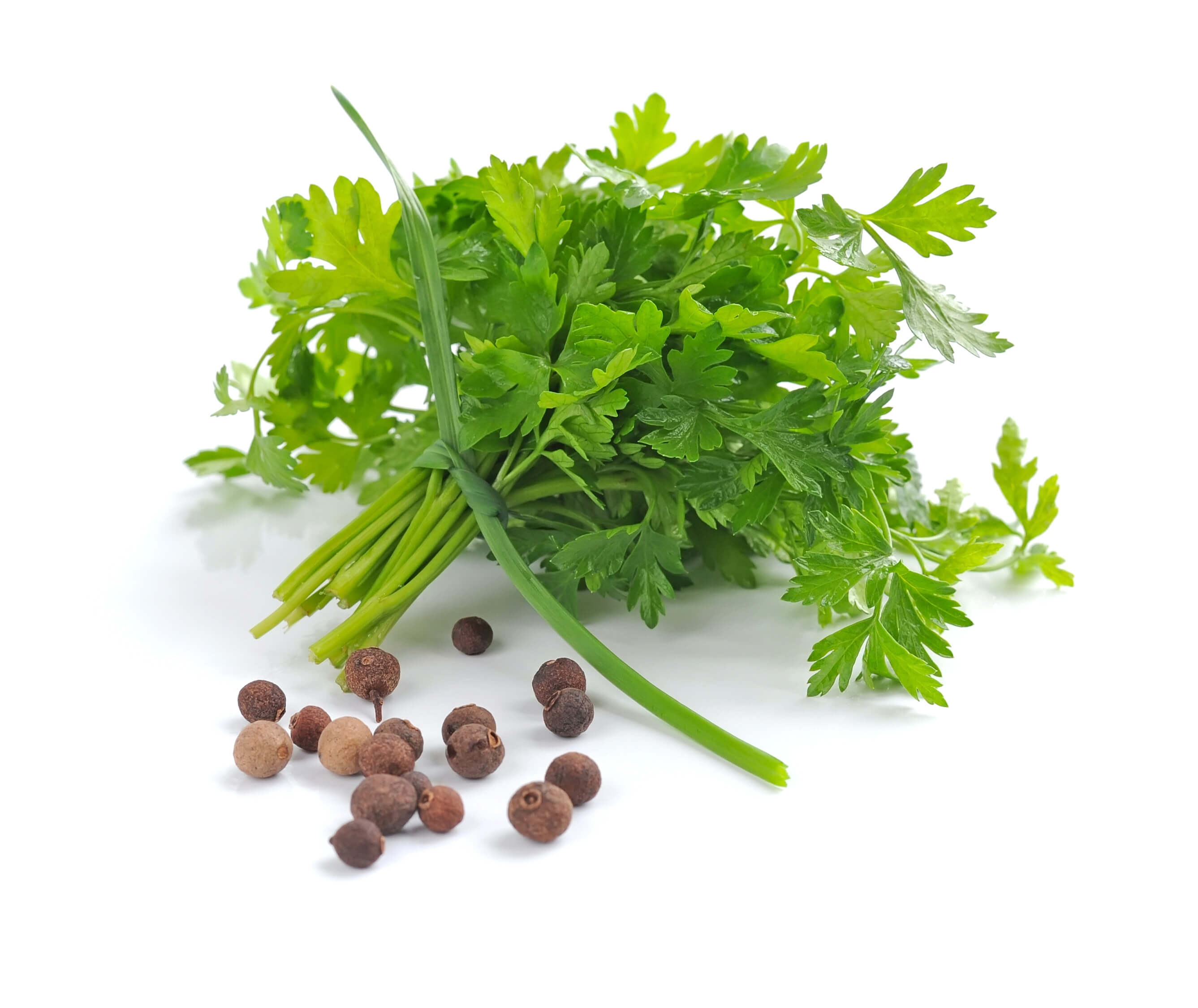 Parsley seed oil (CAS N° 8000-68-8) Parsley seed oil (CAS N° 8000-68-8)