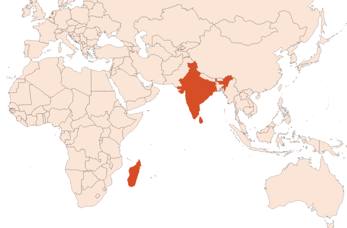 Turmeric roots oil (CAS N° 8024-37-1) Map for Turmeric roots oil (CAS N° 8024-37-1)