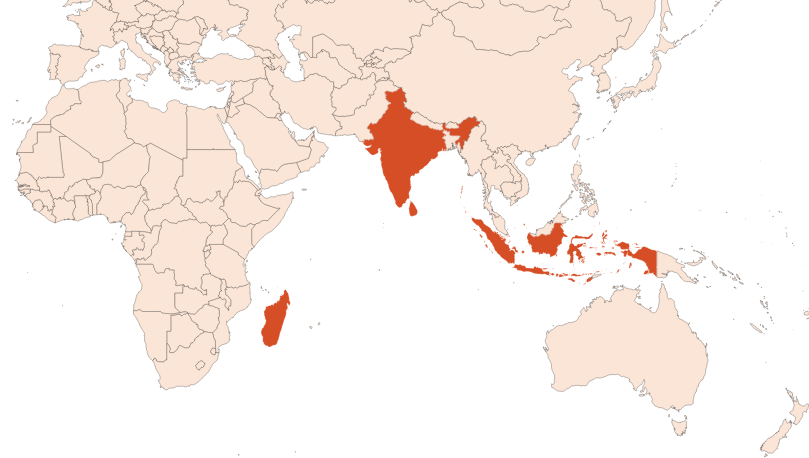 Clove leaf oil (CAS N° 8000-34-8) Map for Clove leaf oil (CAS N° 8000-34-8)